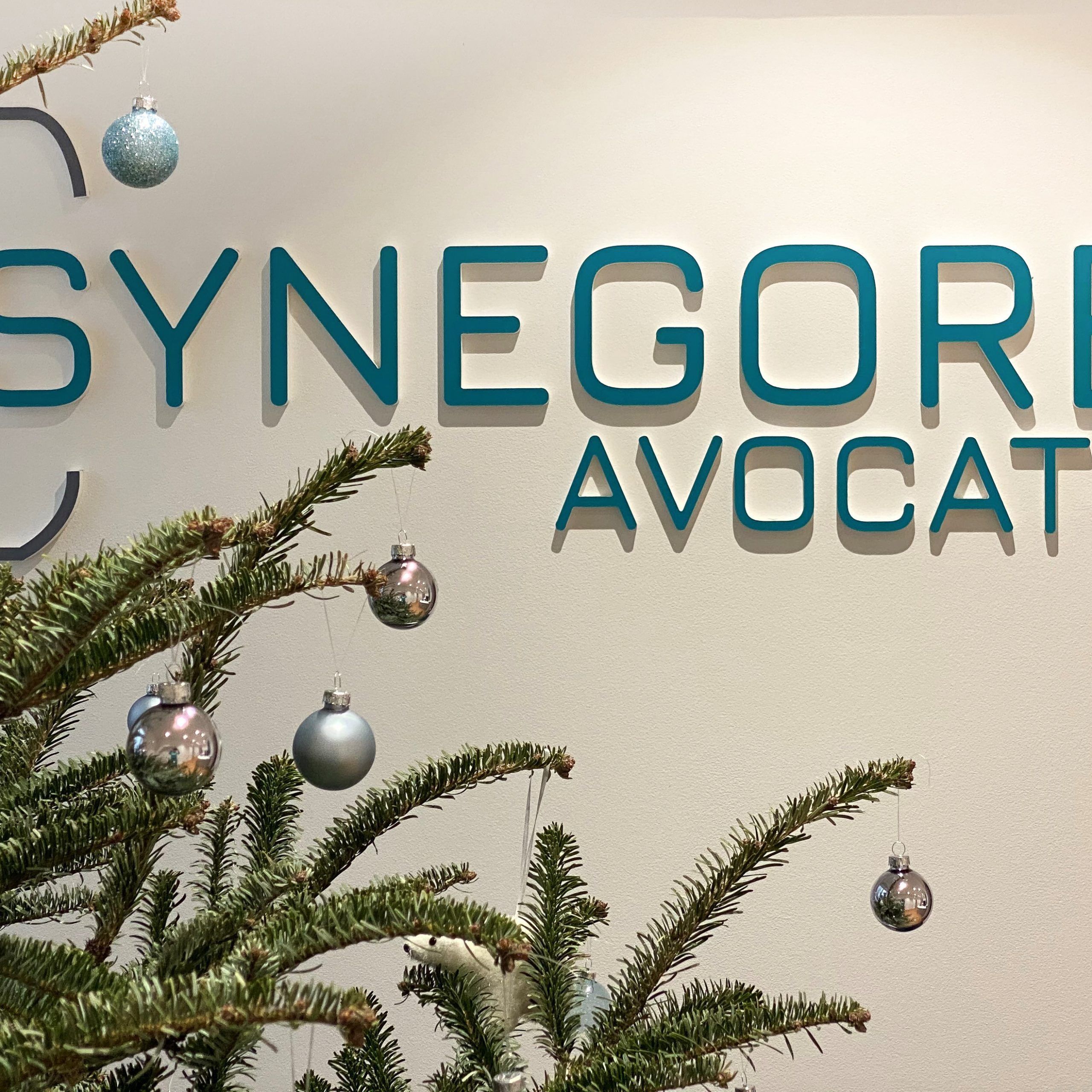 SYNEGORE NOËL